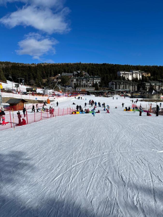 Isard Pyrenees 2000 - 300m Des Pistes Bolquere